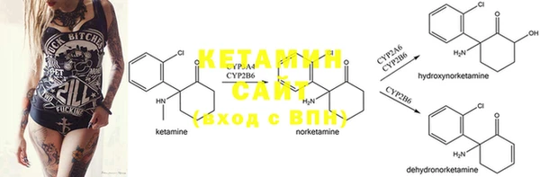 PSILOCYBIN Лихославль