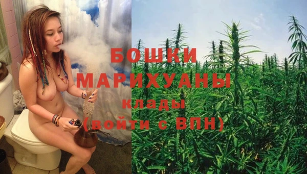 PSILOCYBIN Лихославль