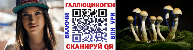 Псилоцибиновые грибы GOLDEN TEACHER  купить наркоту  Кувандык 