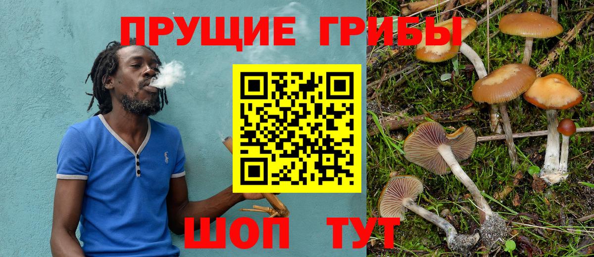 Галлюциногенные грибы ЛСД  Вход с VPN  Кувандык 