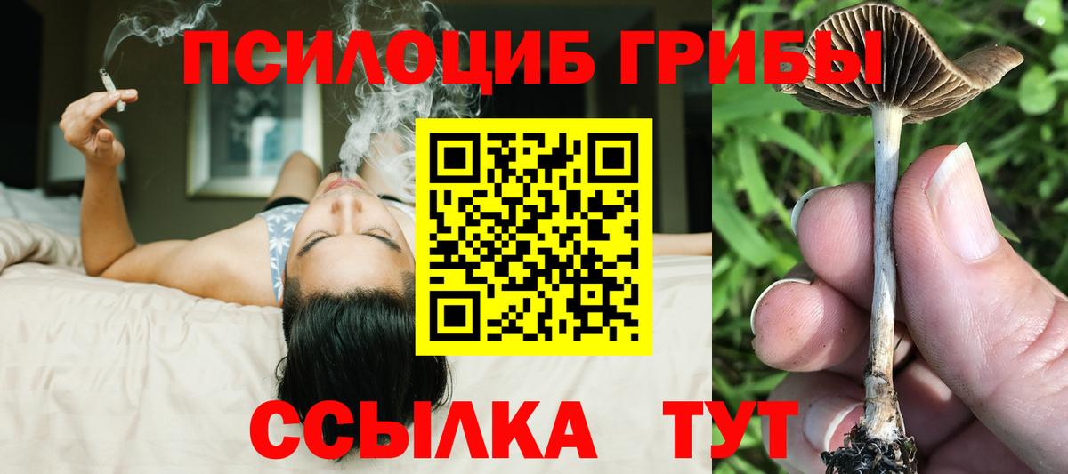 Галлюциногенные грибы прущие грибы Кувандык